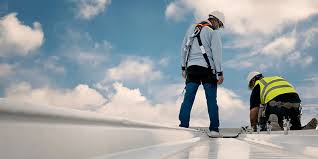 Best Roof Maintenance and Cleaning  in Alamo, GA